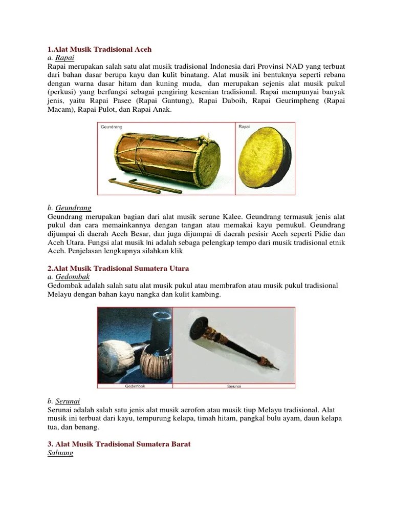 Jenis Dan Fungsi Alat Musik Tradisional
