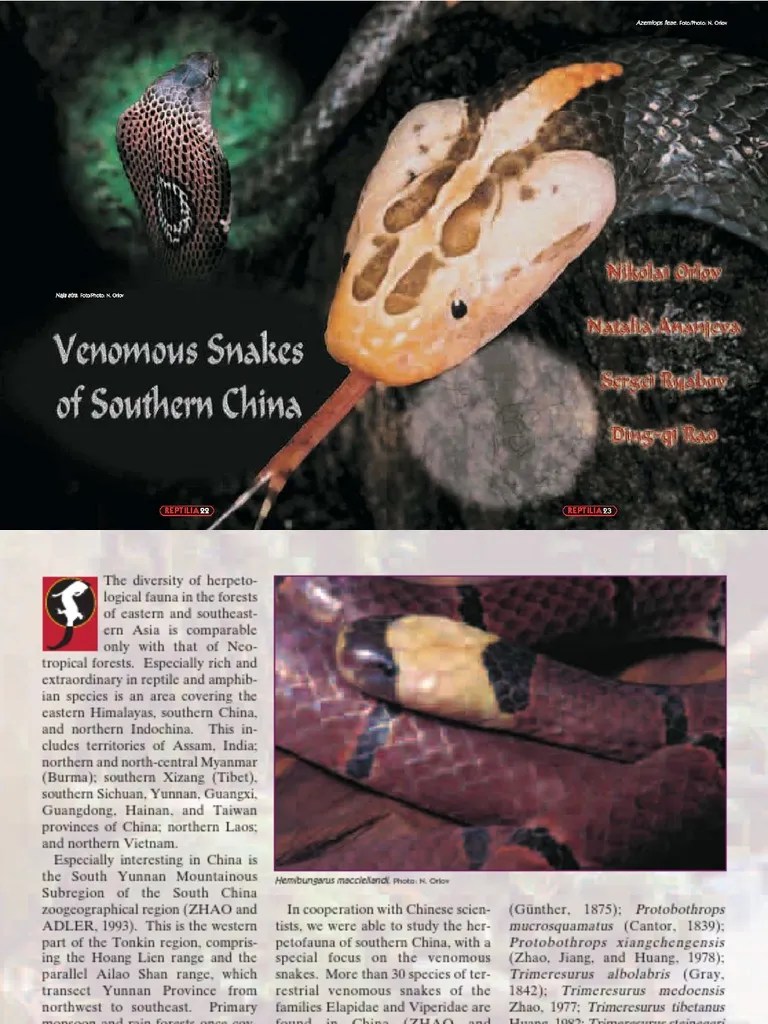Venomous Snakes of Southern China Predators Alethinophidia