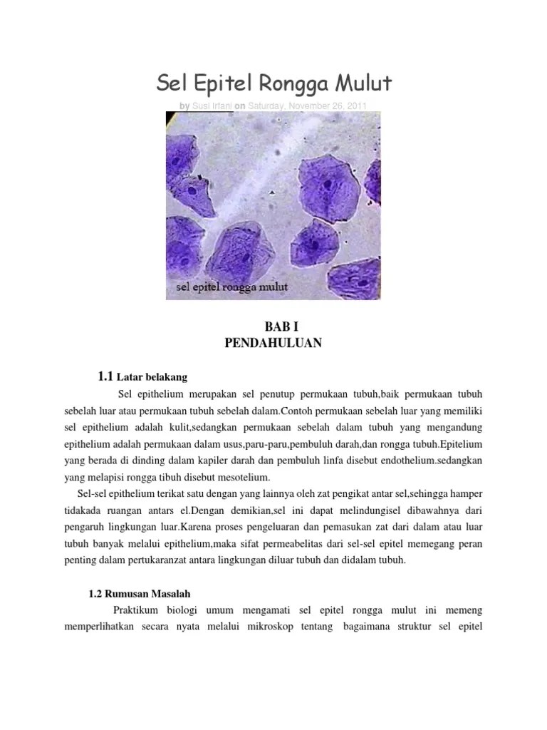 Jelaskan Bentuk Dan Struktur Sel Epitelium