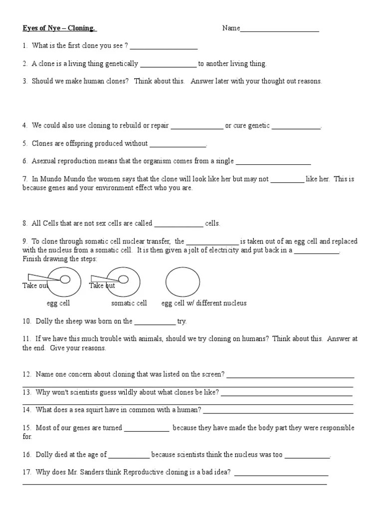 Bill Nye Energy Worksheet