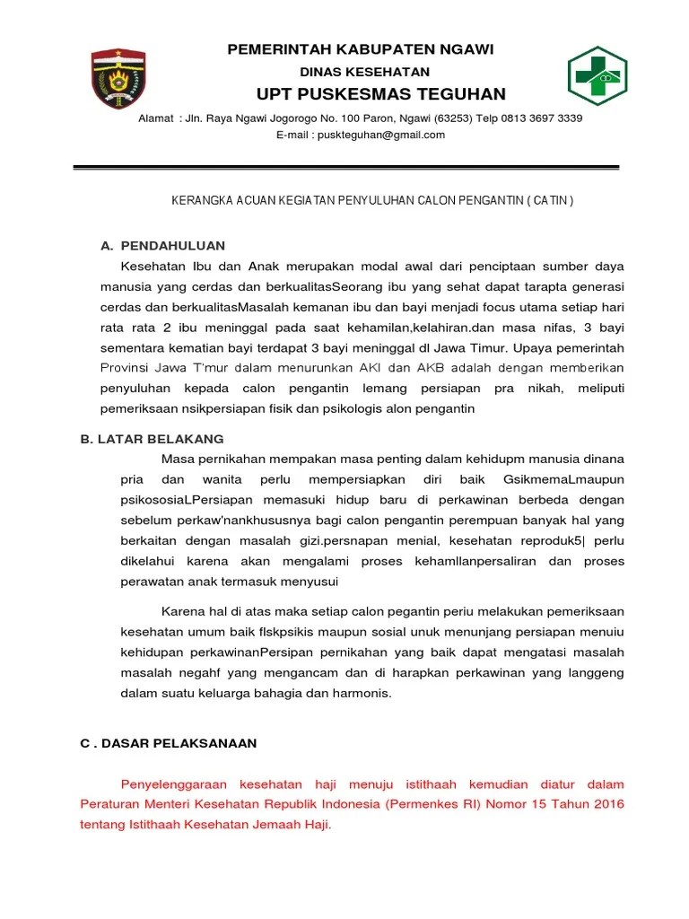 Kak Penyuluhan Catin | PDF