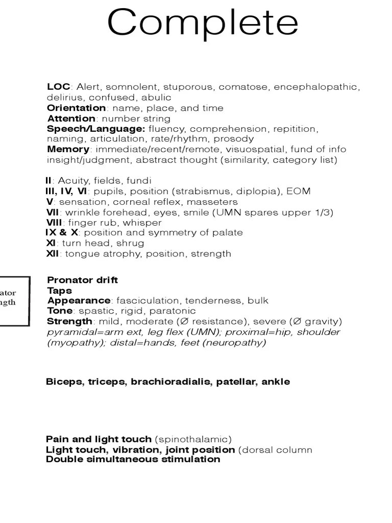 Complete Neuro Exam Nervous System Human Anatomy