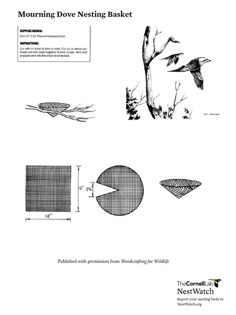 Mourning Dove Nesting Basket PDF