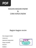Bagian-Bagian Enzim &amp; Cara Kerja Enzim | PDF