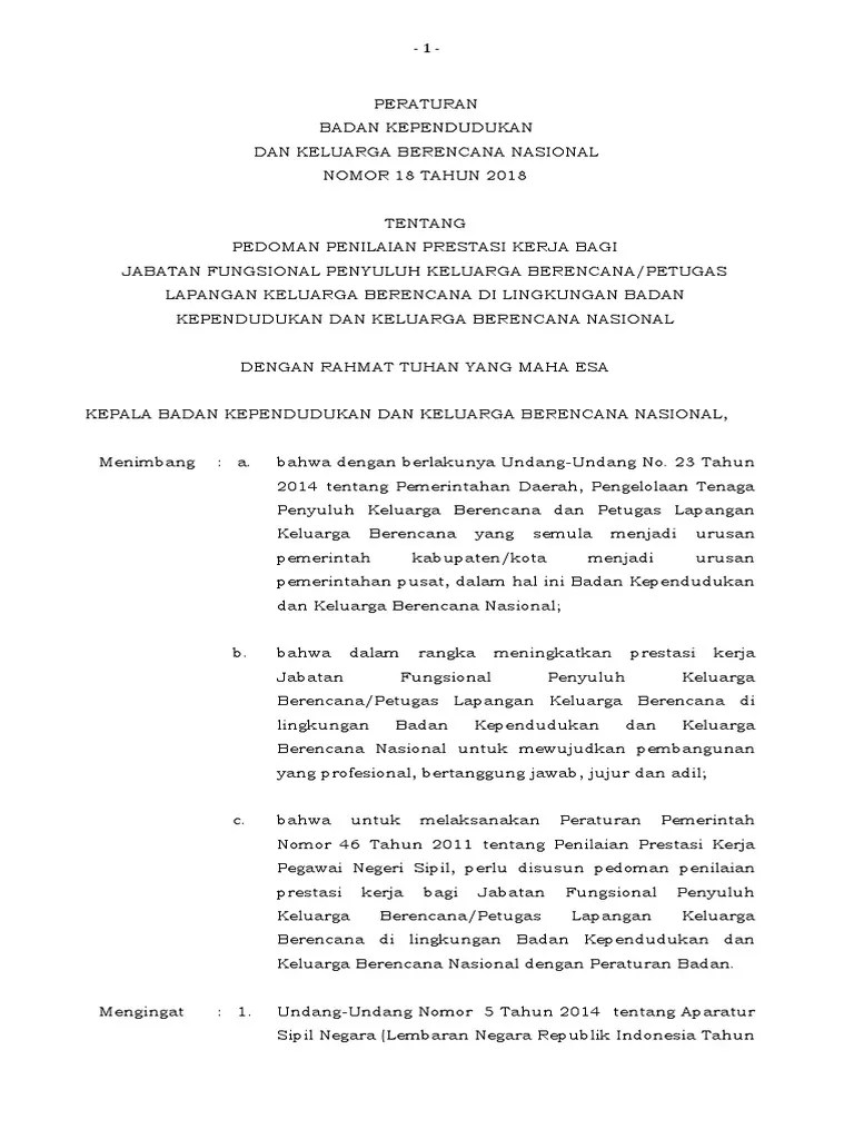 Perka BKKBN 18 TH 2018 TTG SKP Bagi PKB PLKB PDF | PDF