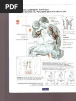 Programme Jamcore Mass Et Seche 2 | PDF | Nutrition | Régime et nutrition