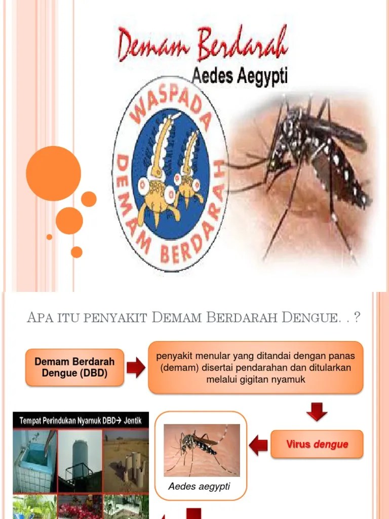 Penyuluhan DBD | PDF