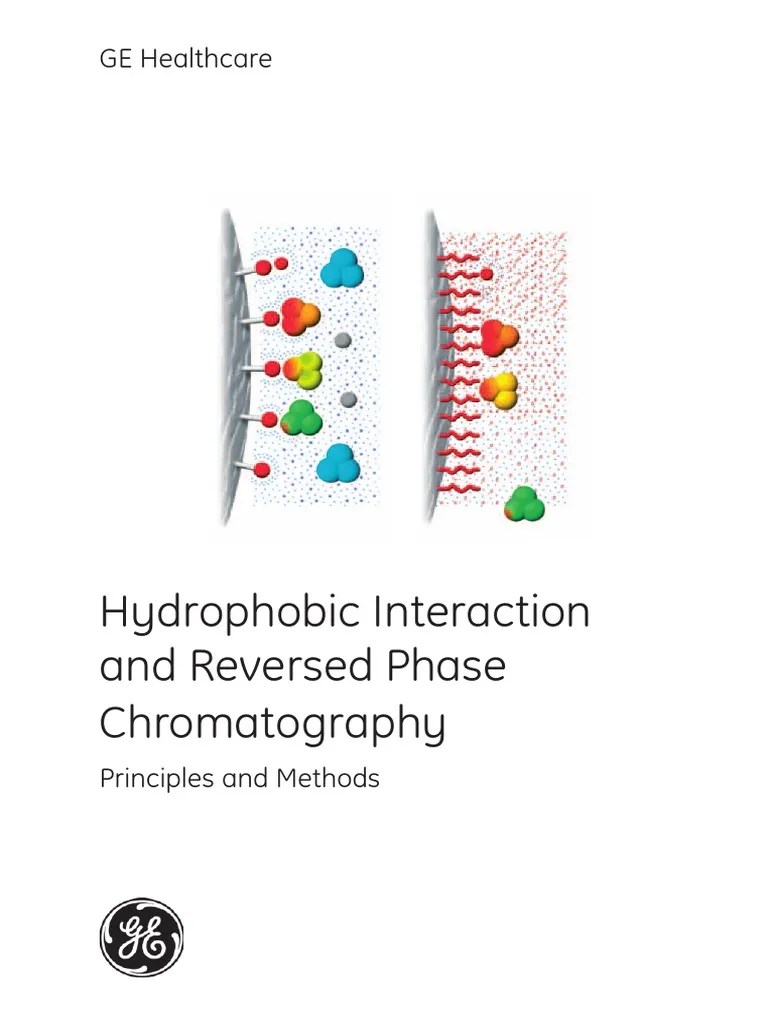 Hydrophobic Interaction and Reversed Phase Chromatography Protein