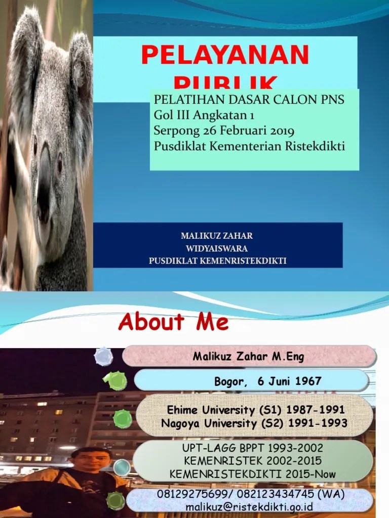 Pelayanan Publik 2019 PDF