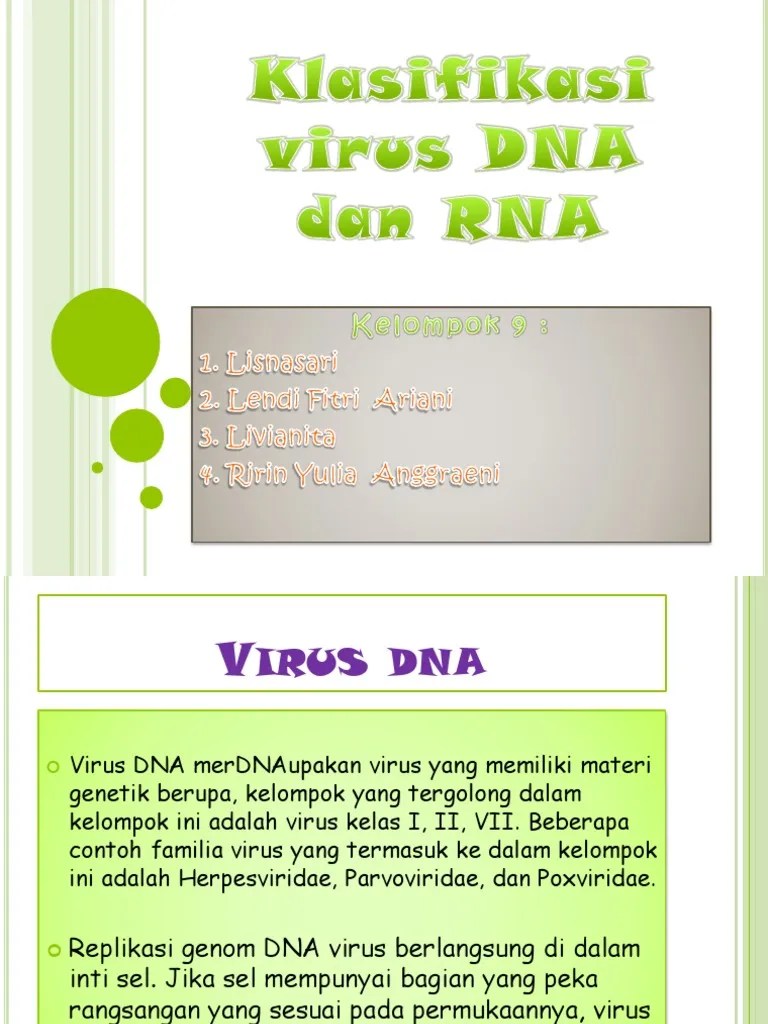 Dna Rna | PDF