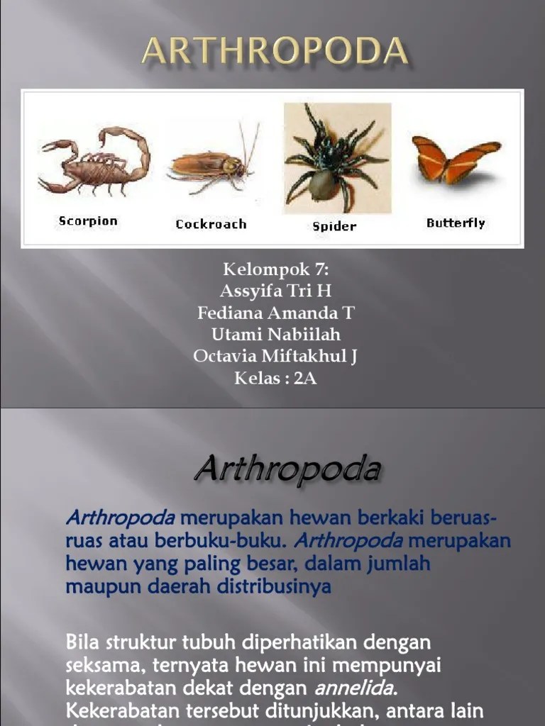 Laporan Prak Mirko Virologi Perhitungan Angka Kuman | PDF