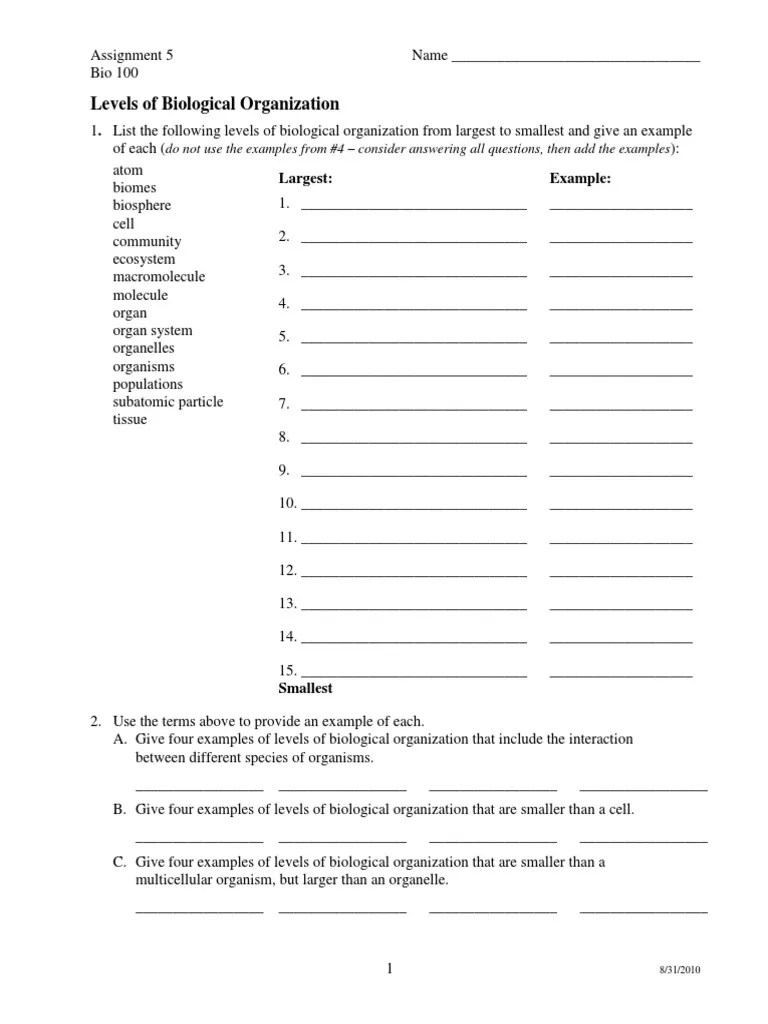 Levels Of Organization Worksheet - Homemadeked