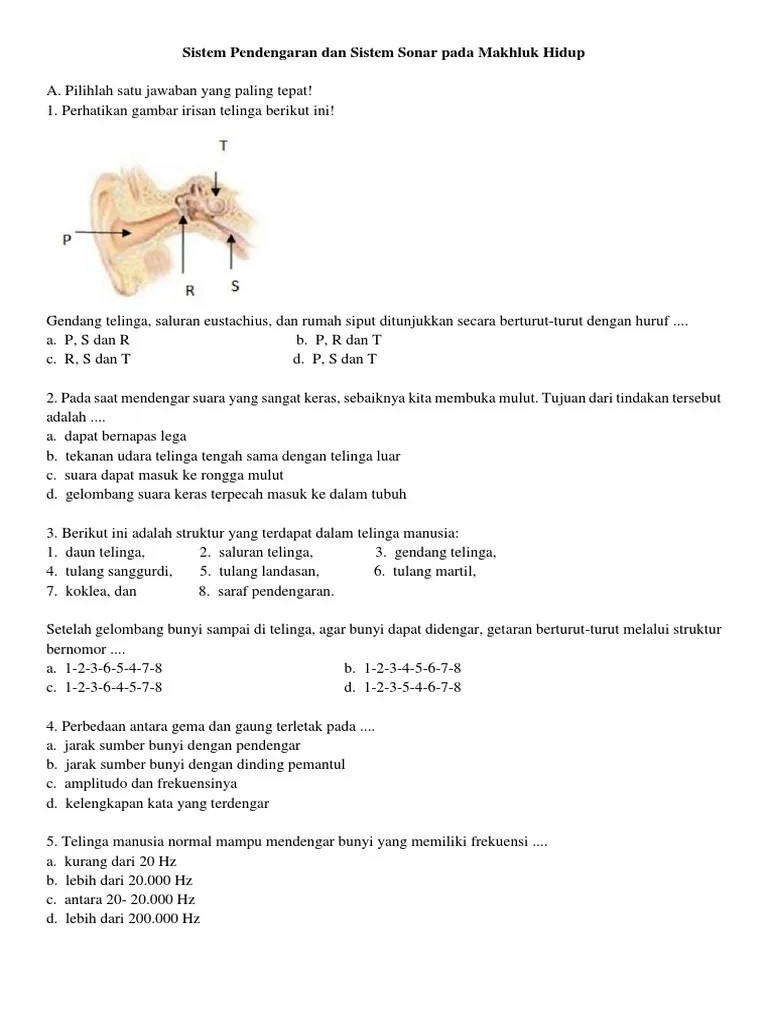 Uji Kompetensi Indera Pendengaran Dan Sistem Sonar Pada Makhluk Hidup | PDF