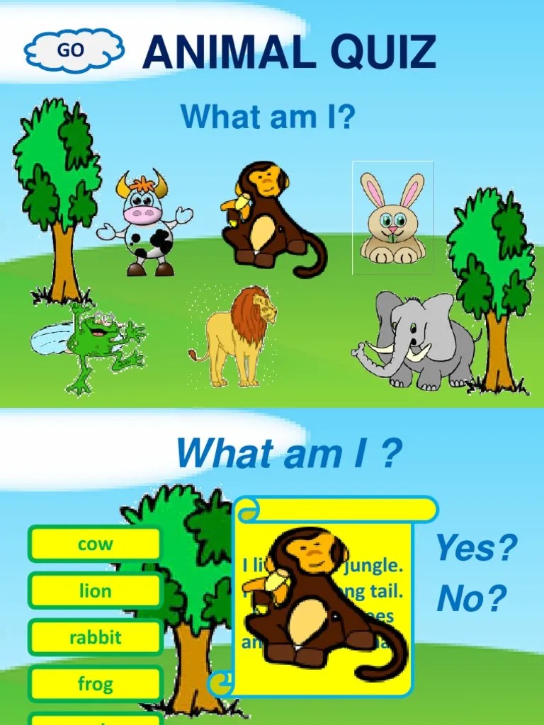 Animal Quiz What am I?