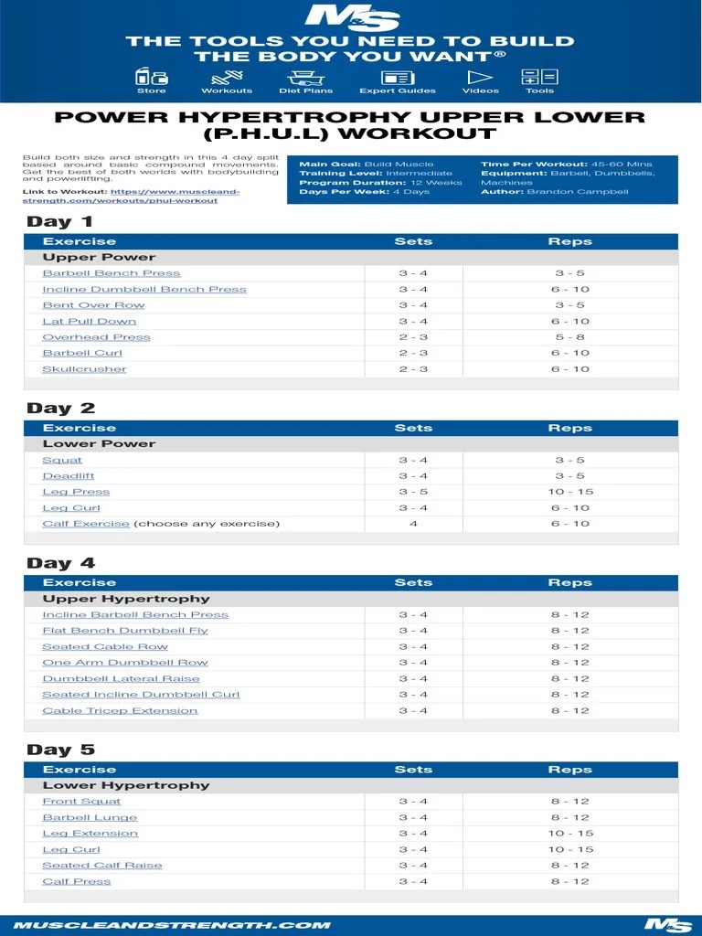 Best 4 Day Workout Split