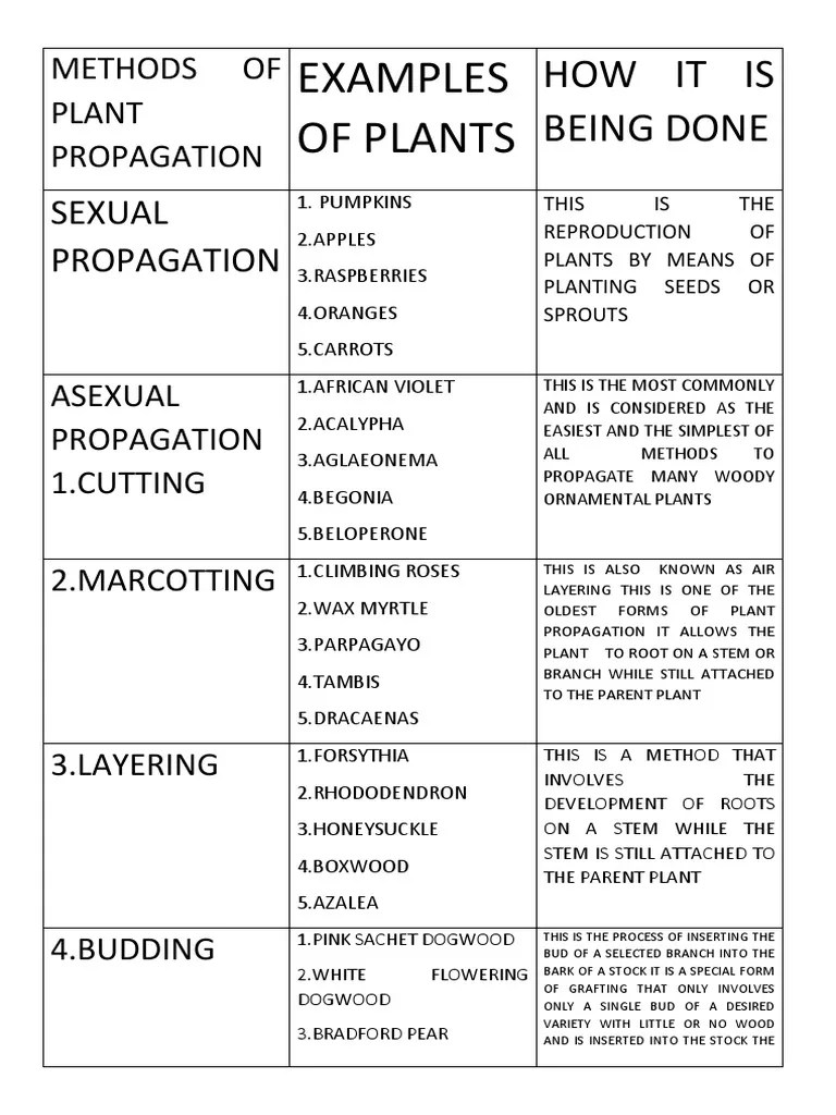 Methods of Plant Propagation PDF Grafting Trees