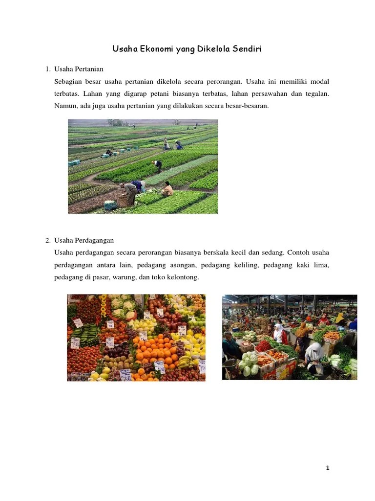 Usaha Ekonomi Yang Dikelola Sendiri Disebut