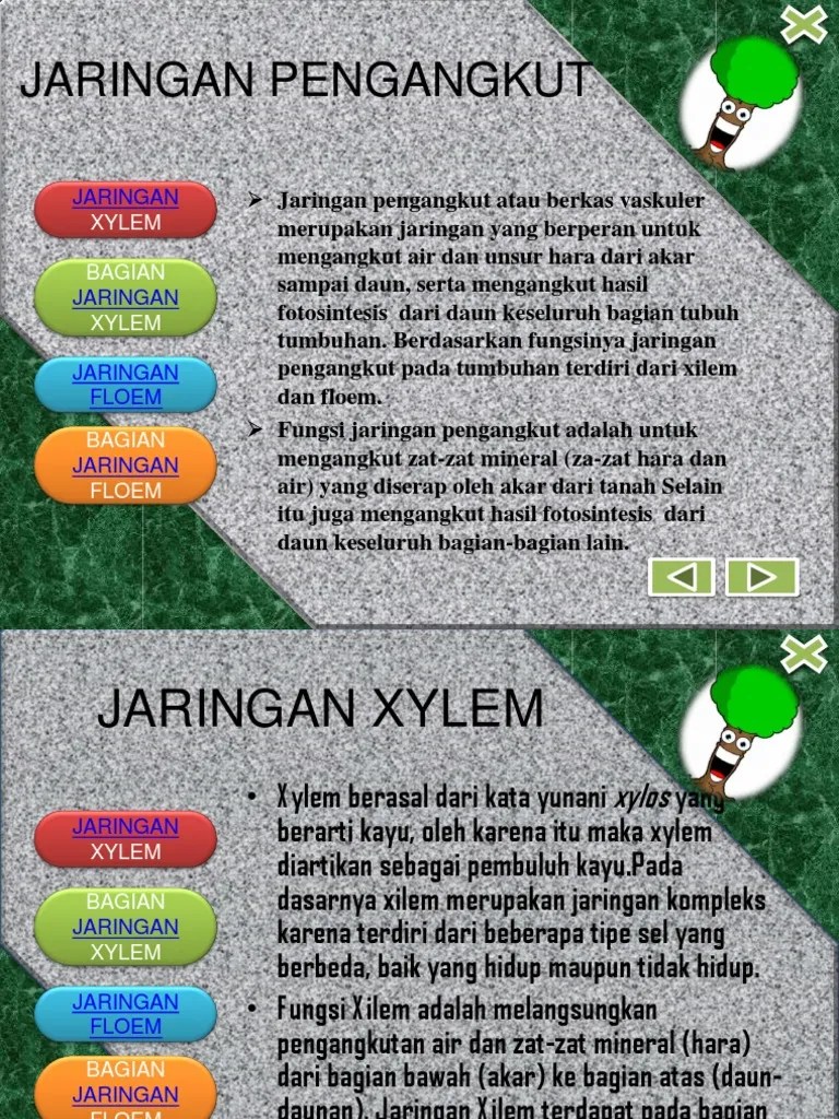 Soal Soal Kps | PDF