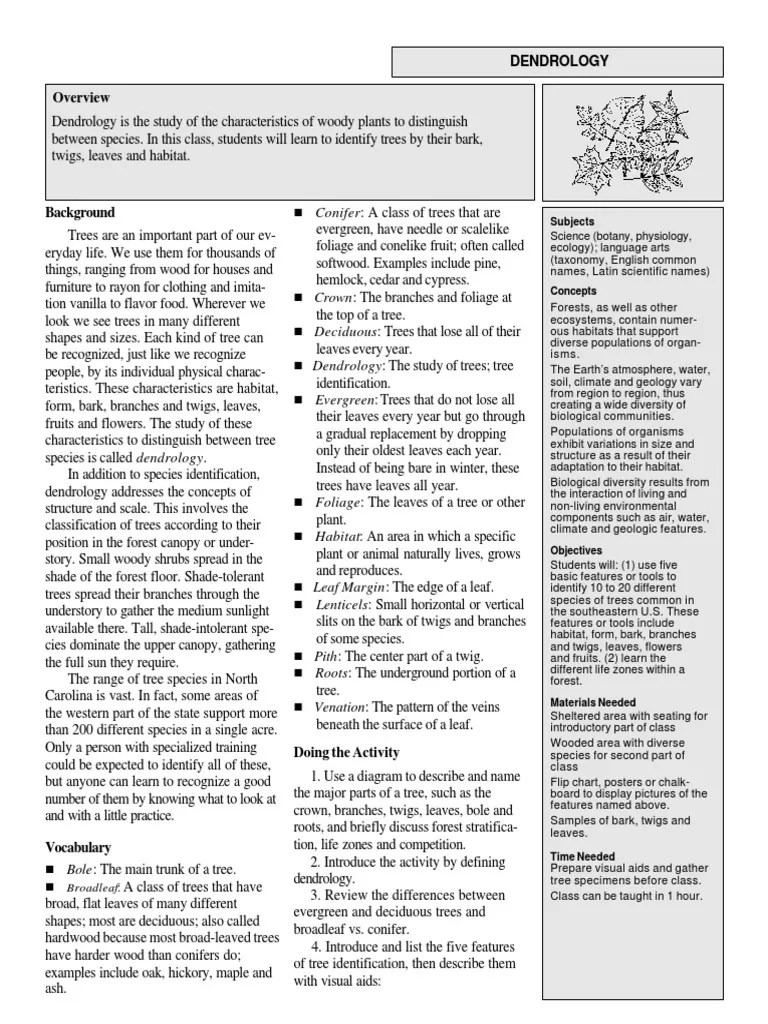 Dendrology.pdf Trees Leaf