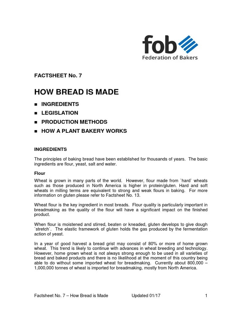 Bread Baking PDF Dough Flour