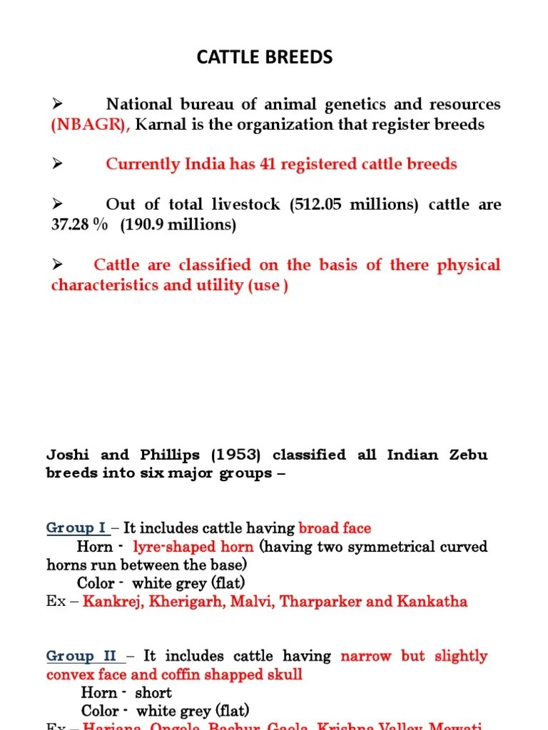 Cattle Breeds Classification PDF Bovines Livestock