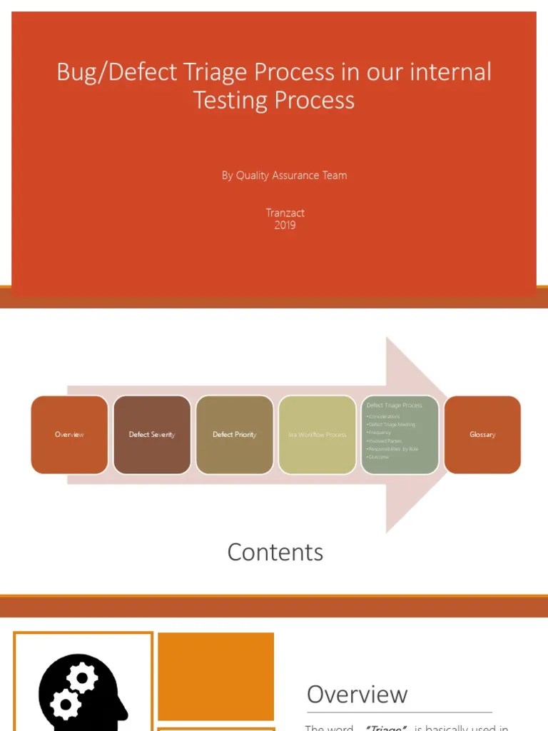 Bug Defect Triage Process Software Bug Software Testing