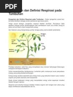 Pengertian Dan Definisi Respirasi Pada Tumbuhan | PDF