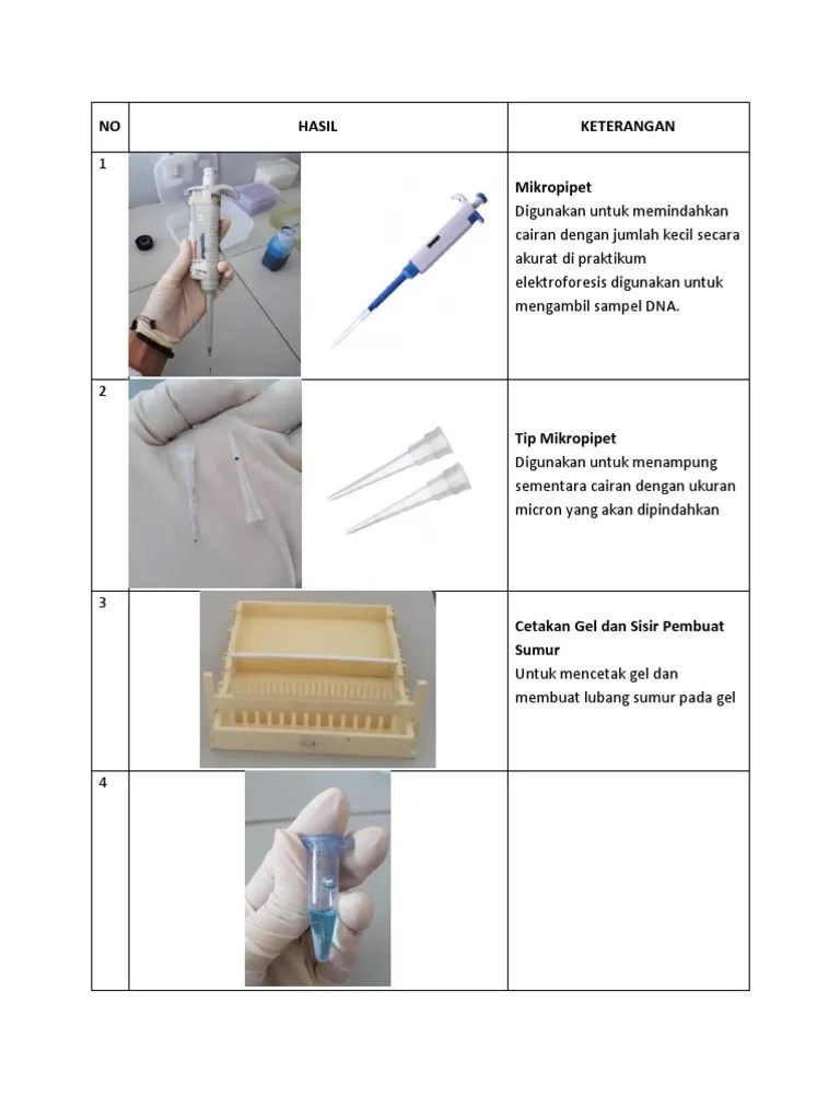 Elektroforesis | PDF