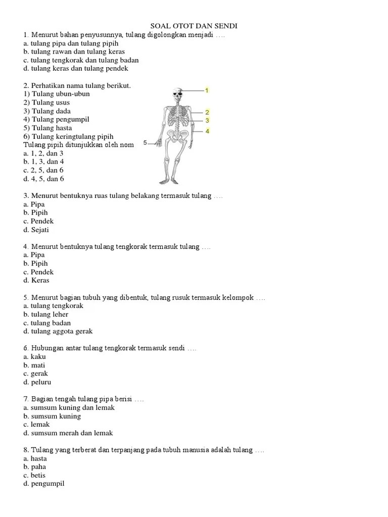 Soal Otot Dan Sendi 1 | PDF