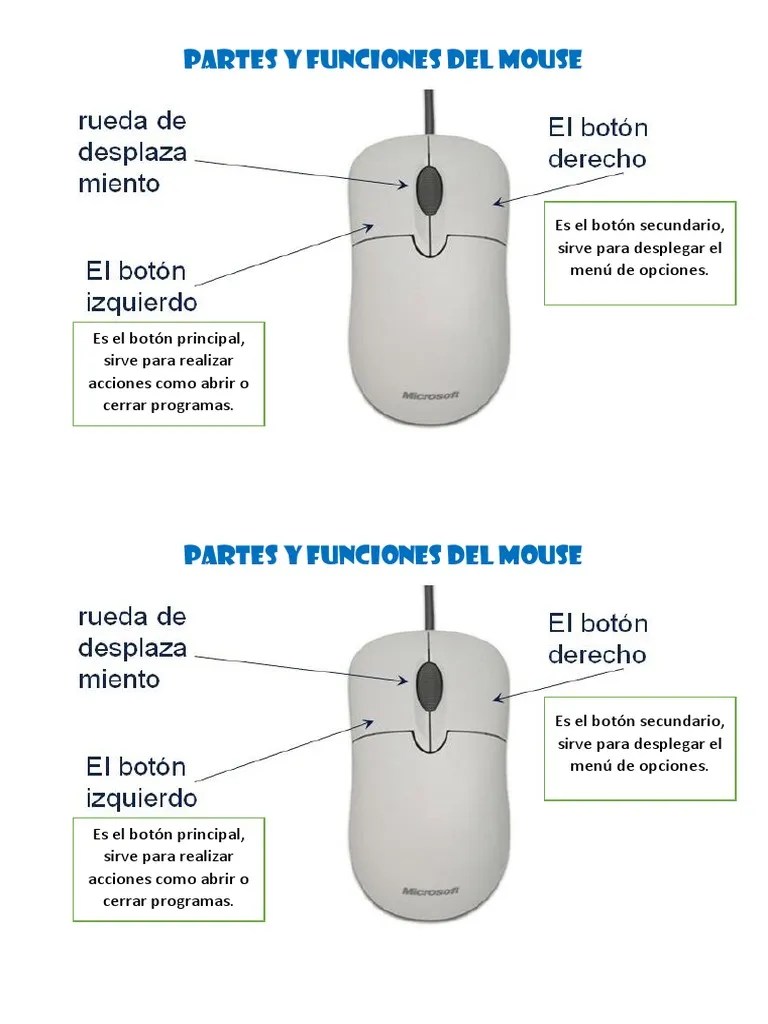 Partes y Funciones Del Mouse