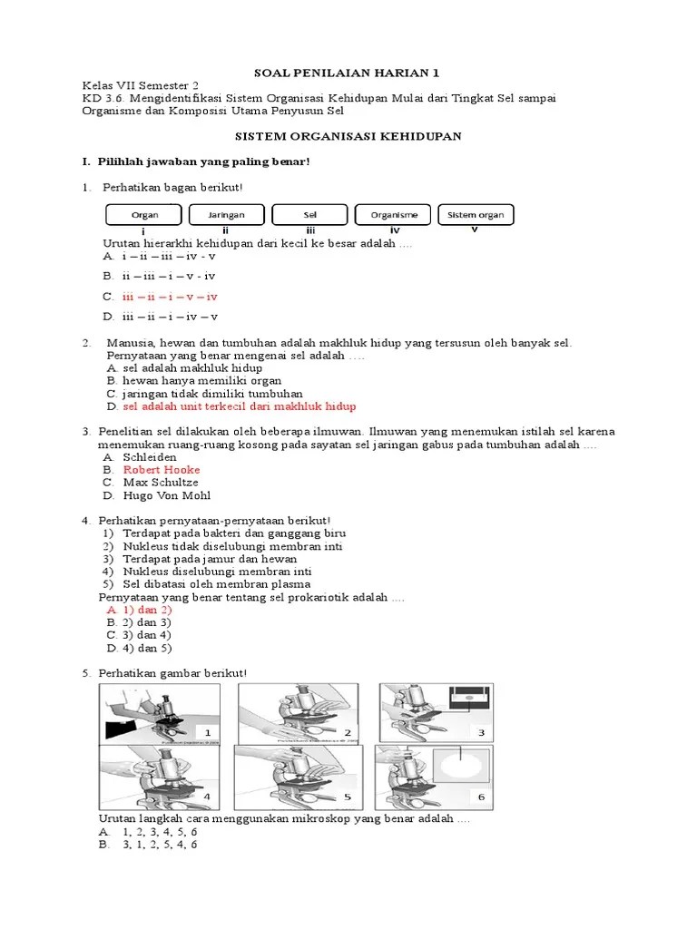 Soal Sistem Organisasi Kehidupan – Rasanya