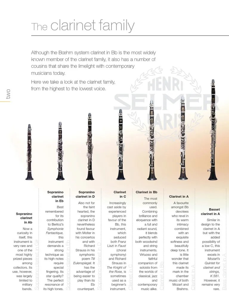 Family PDF Double Bass