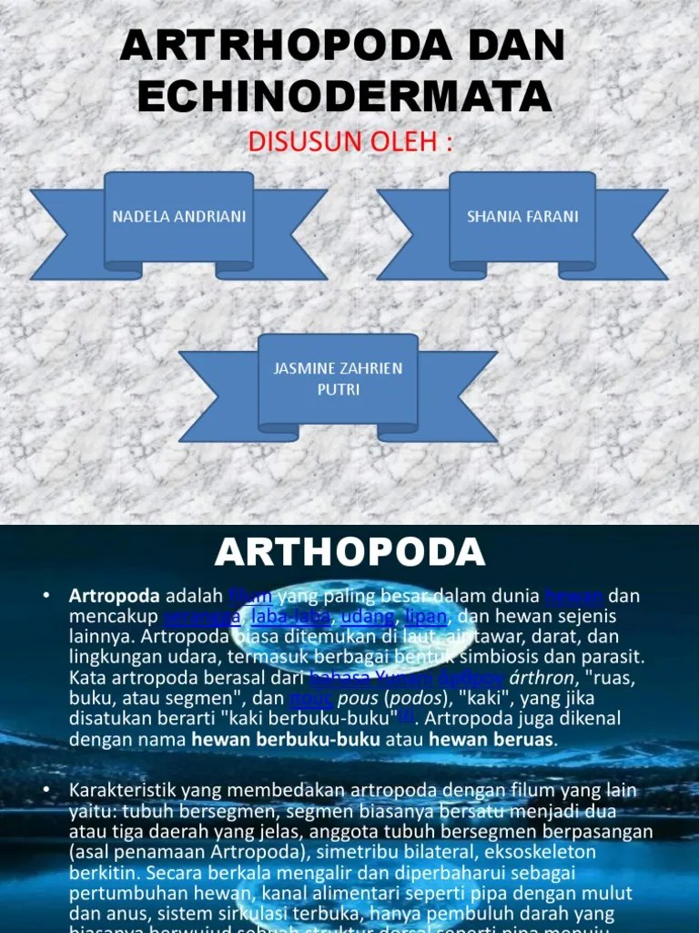 Artrhopoda Dan Echinodermata | PDF