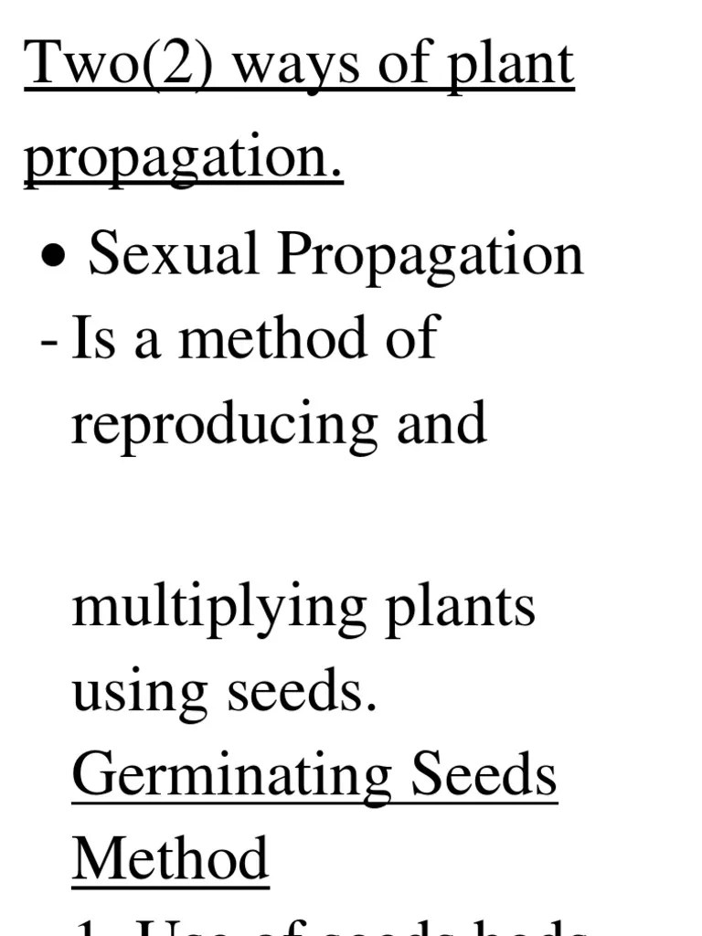 Types of Propagation PDF