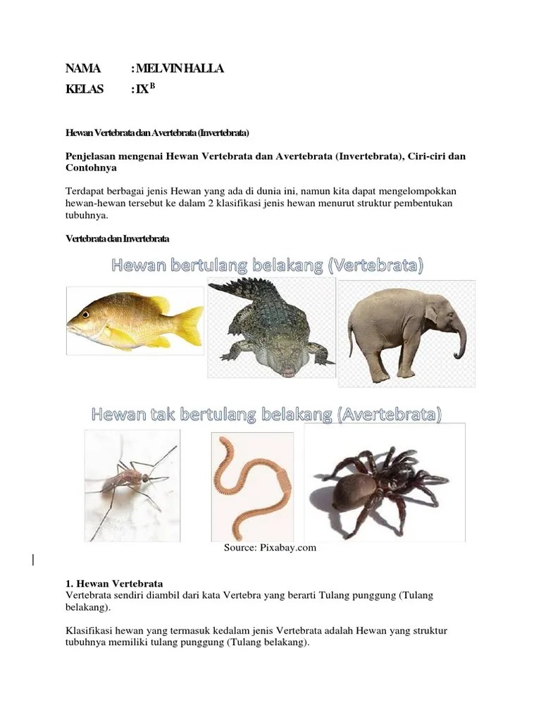 Hewan Vertebrata Dan Avertebrata | PDF