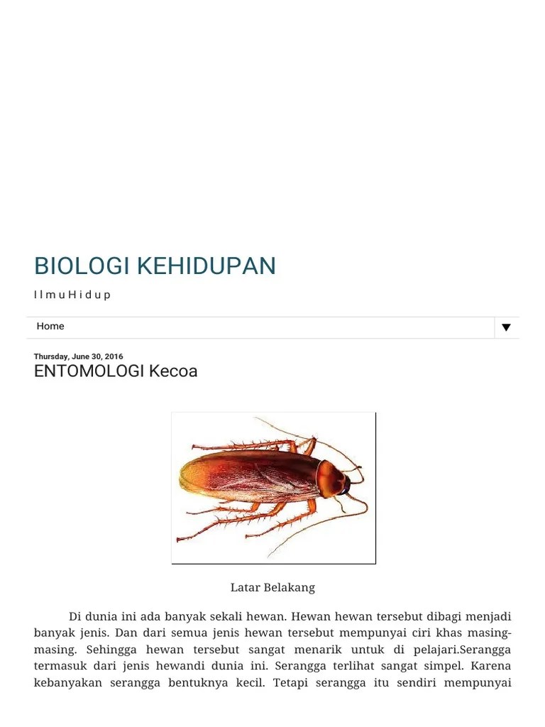 Biologi Kehidupan - Entomologi Kecoa | PDF