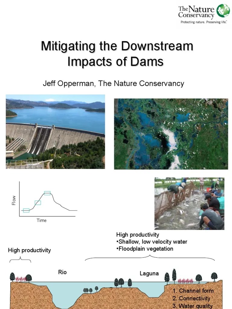 Mitigating the Downstream Impacts of Dams Environmental Technology