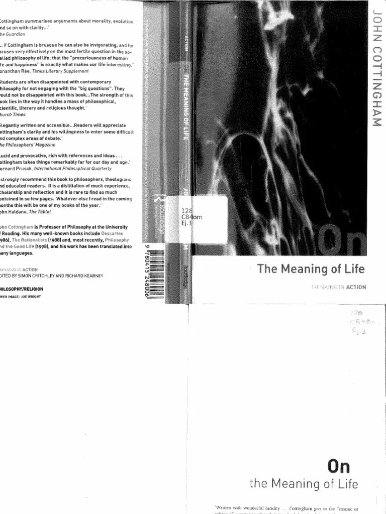 John Cottingham The Meaning of Life PDF PDF