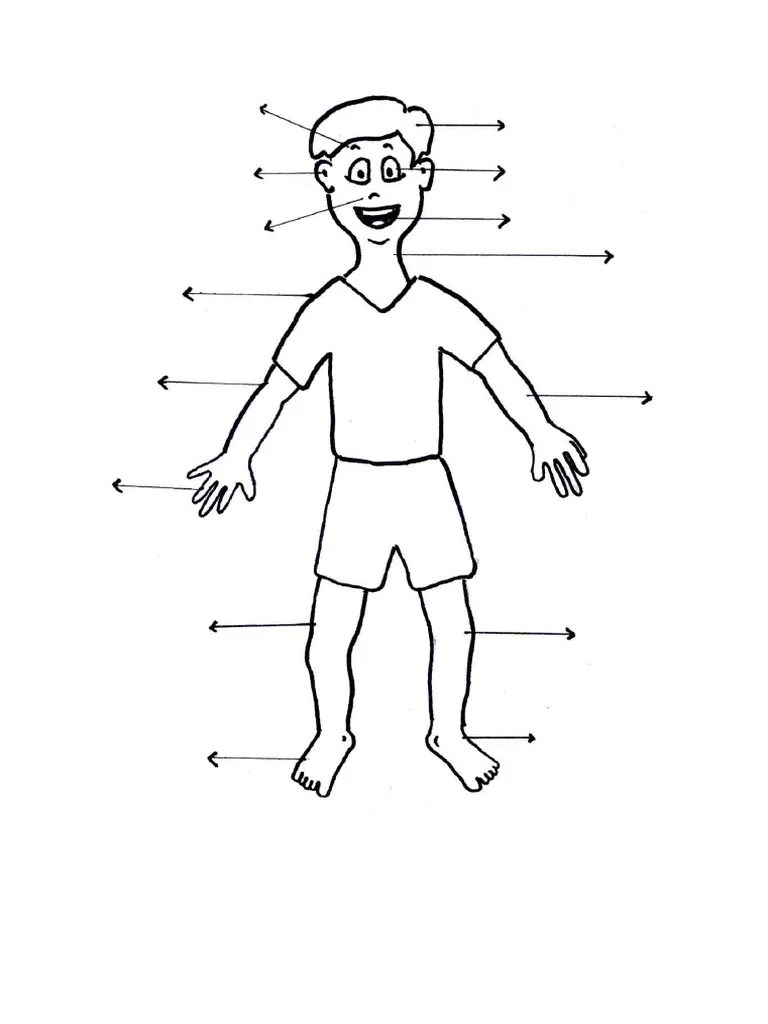 Mewarnai Anggota Tubuh | PDF