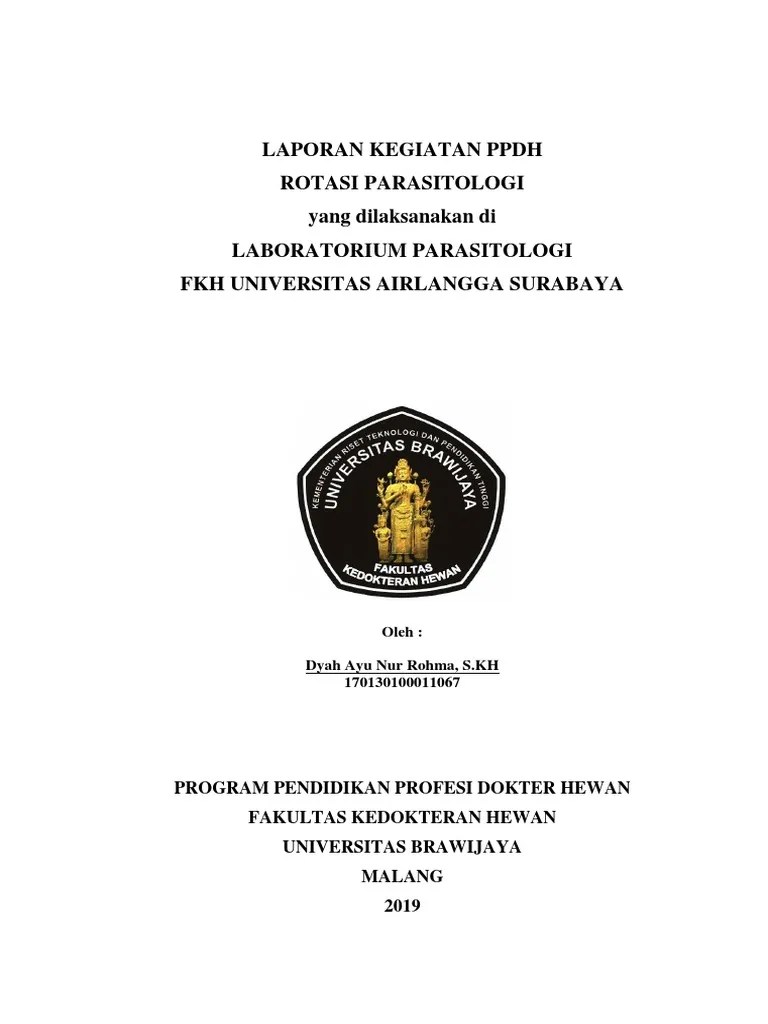 Laporan Koas PDF