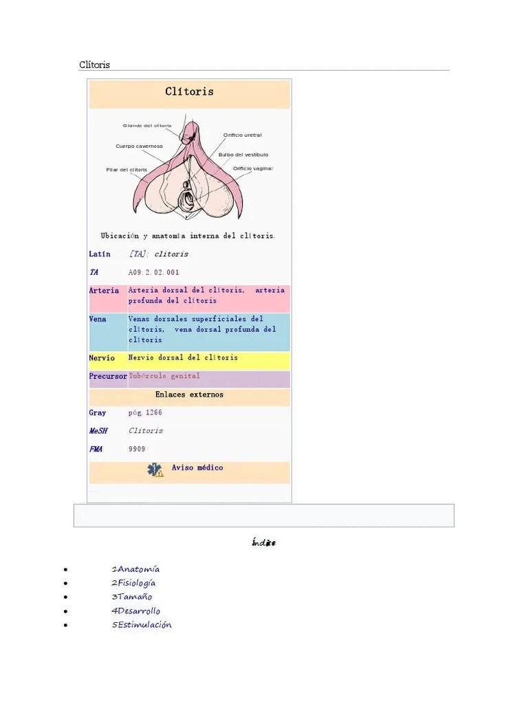 Clítorisate Clítoris Sistema reproductivo animal