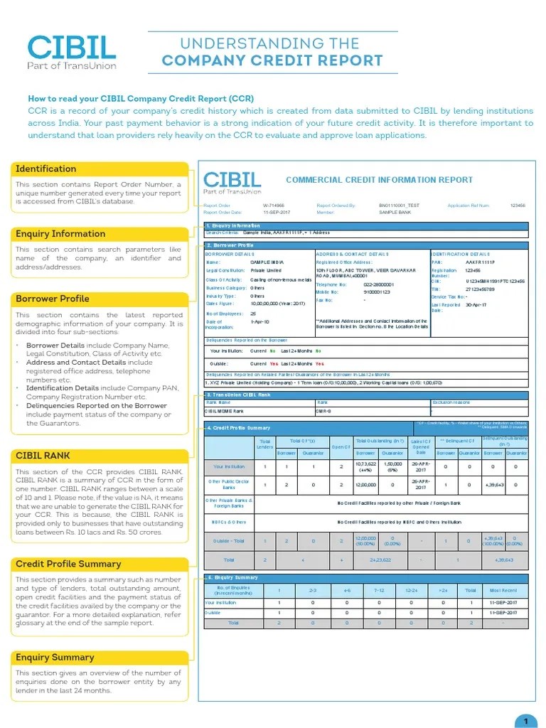 Understand Your Cibil Company Credit Report PDF Loans Credit History