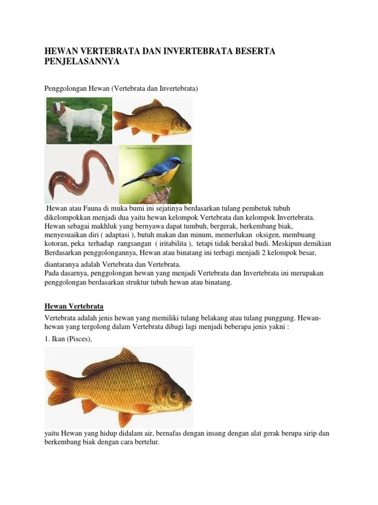 Hewan Vertebrata Dan Invertebrata Beserta Penjelasannya | PDF