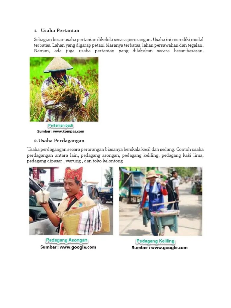 Jenis Usaha Perorangan | PDF