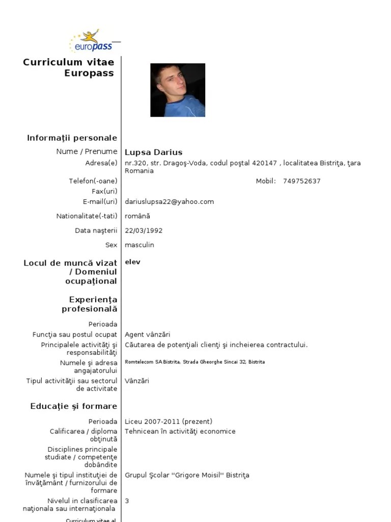 Model CV Curriculum Vitae European Romana PDF