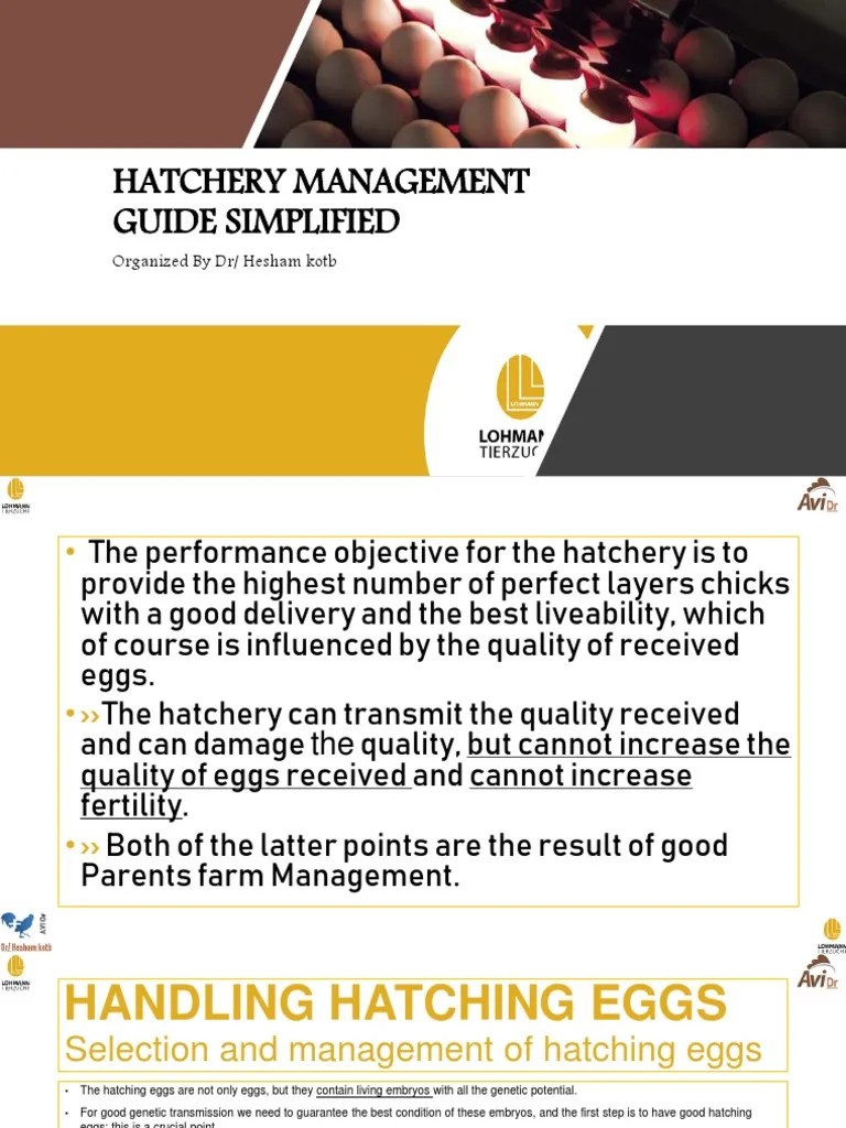 Hatchery Management Guide Simplified Organized by DR/ Hesham Kotb