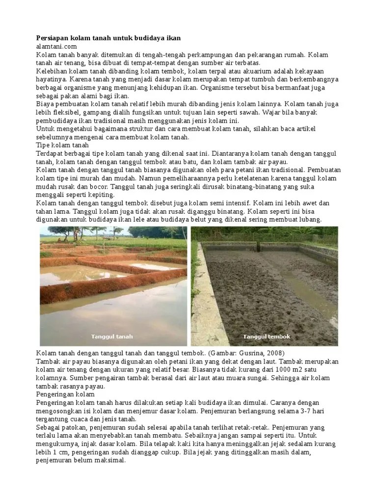 Persiapan Kolam Tanah Untuk Budidaya Ikan | PDF
