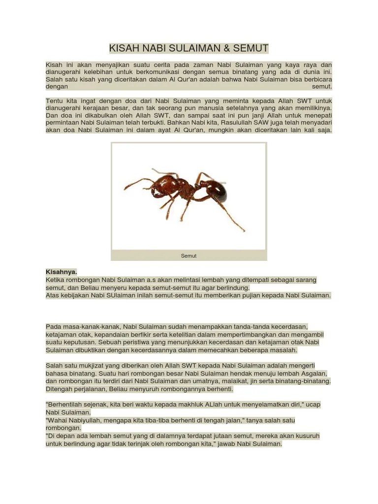 Kisah Nabi Sulaiman Dan Semut | PDF