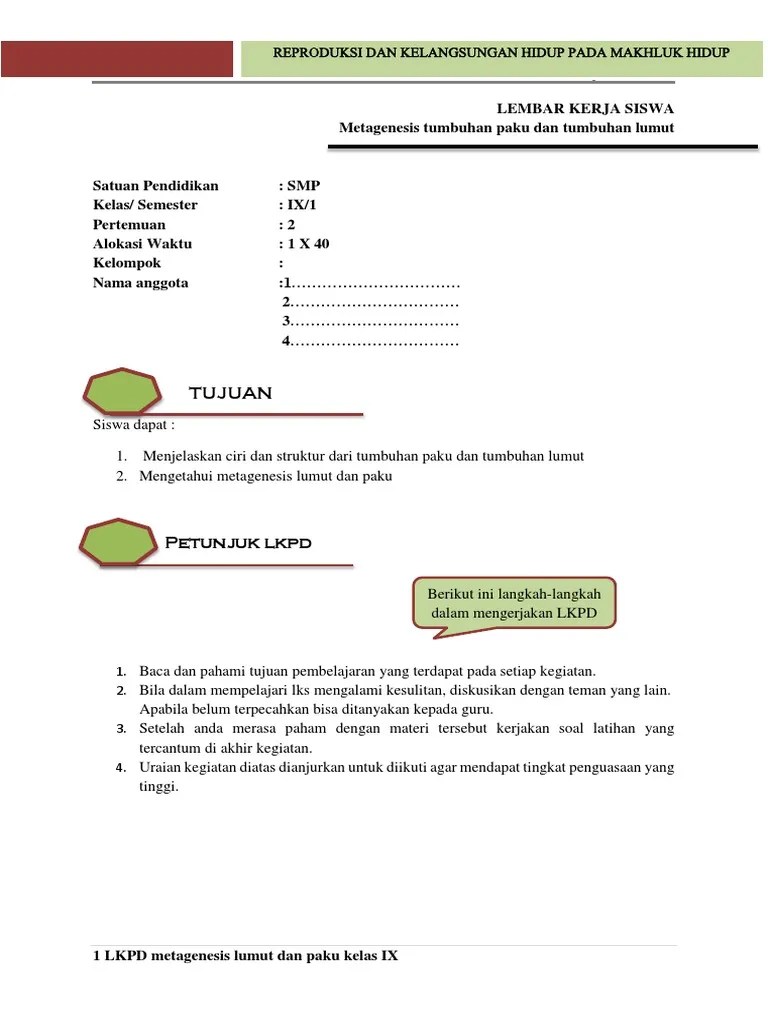View Skema Metagenesis Lumut Pictures | Pedia Edu