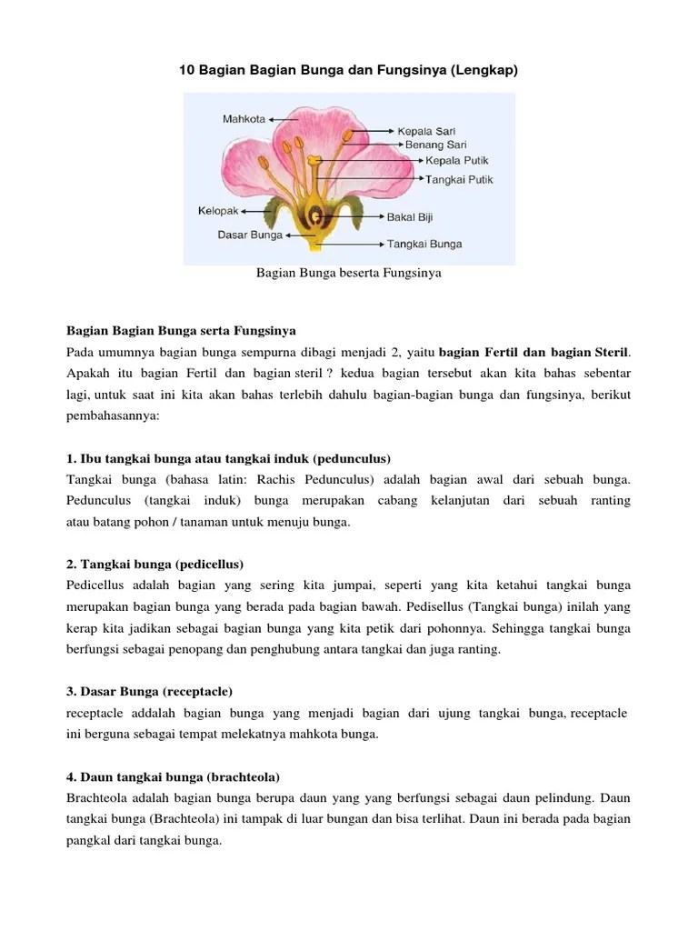 Bagian Bagian Bunga Dan Fungsinya | PDF